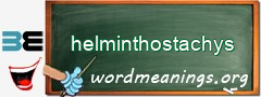 WordMeaning blackboard for helminthostachys